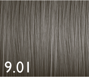 Color Genus 9.01 100ml