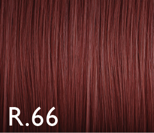 Color Genus r.66 100ml
